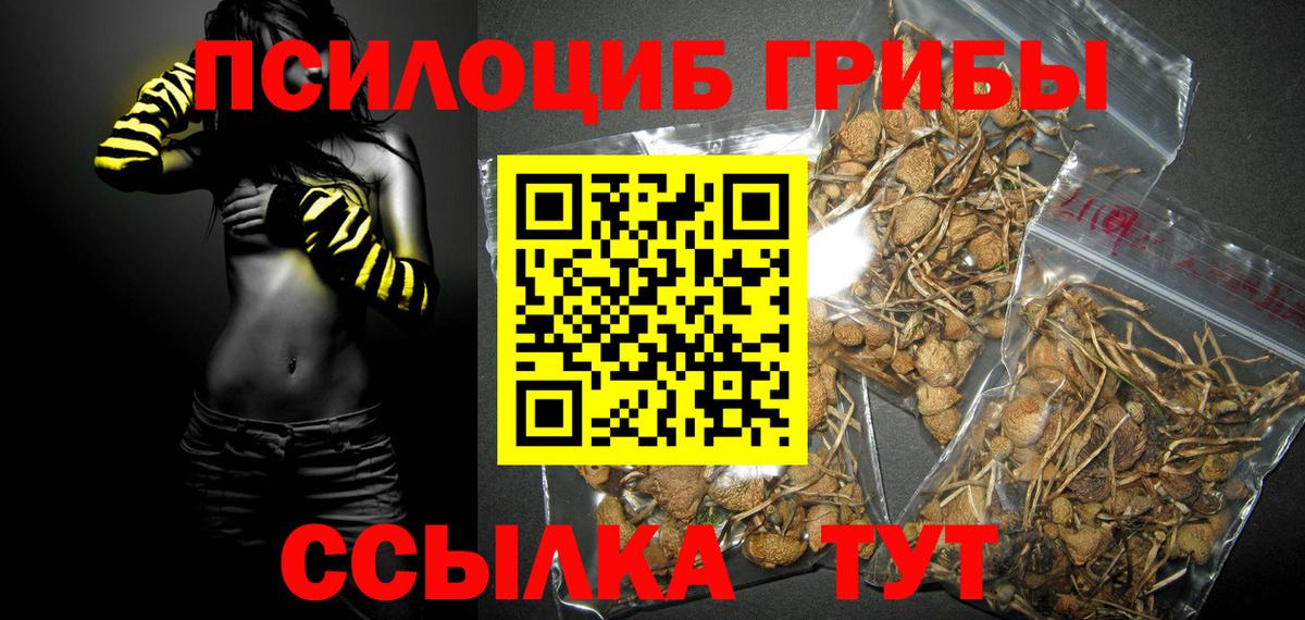 Псилоцибиновые грибы Psilocybine cubensis  дарнет шоп  Гурьевск  Вход с VPN 